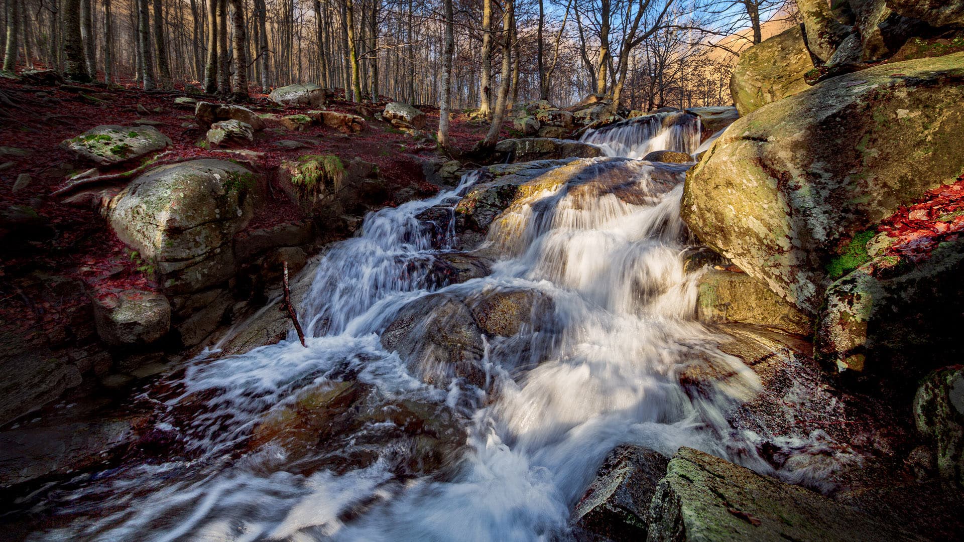 Descubre la Font del Pasavets en el Montseny